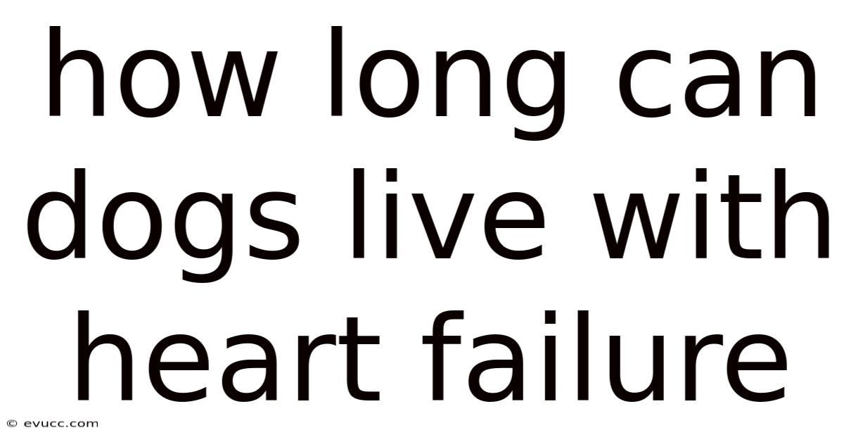 How Long Can Dogs Live With Heart Failure