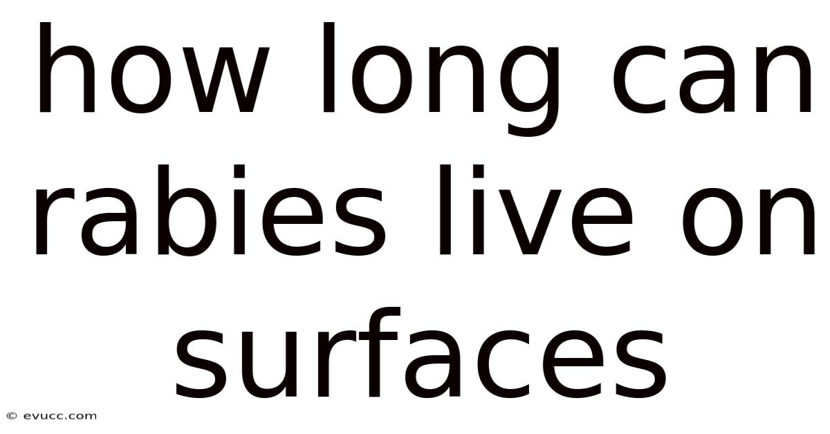 How Long Can Rabies Live On Surfaces