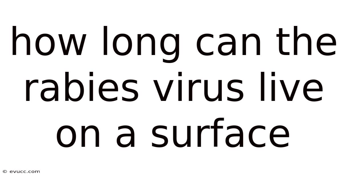 How Long Can The Rabies Virus Live On A Surface