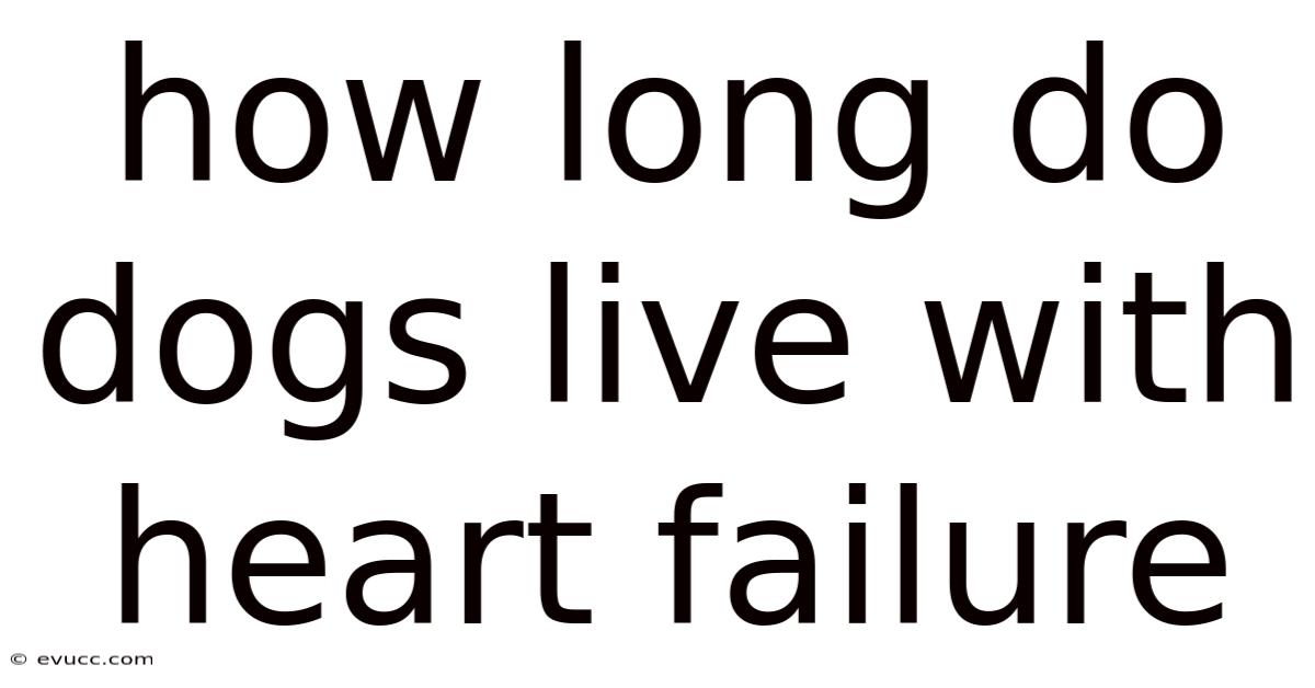 How Long Do Dogs Live With Heart Failure