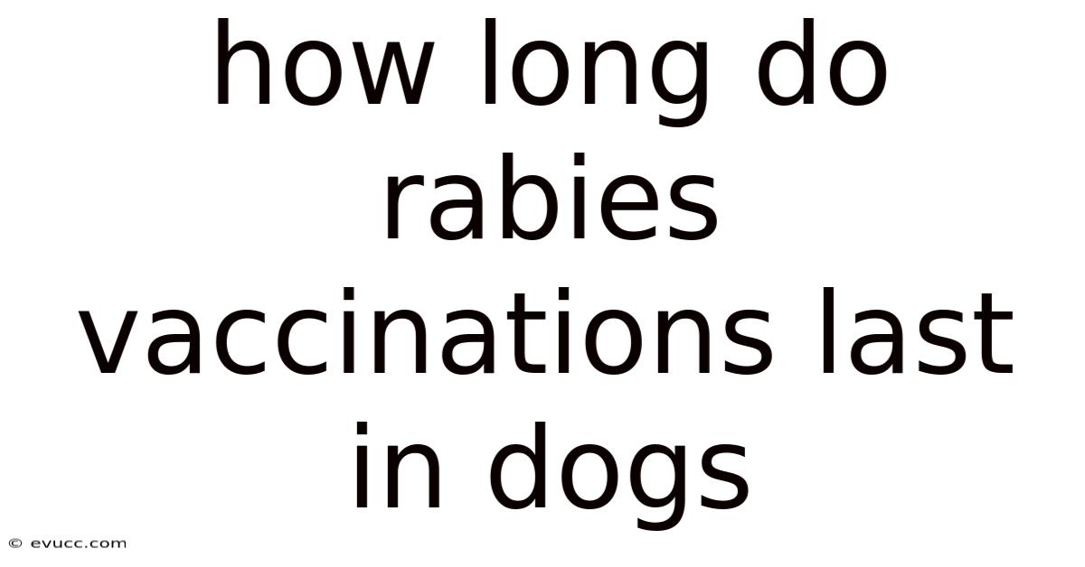 How Long Do Rabies Vaccinations Last In Dogs