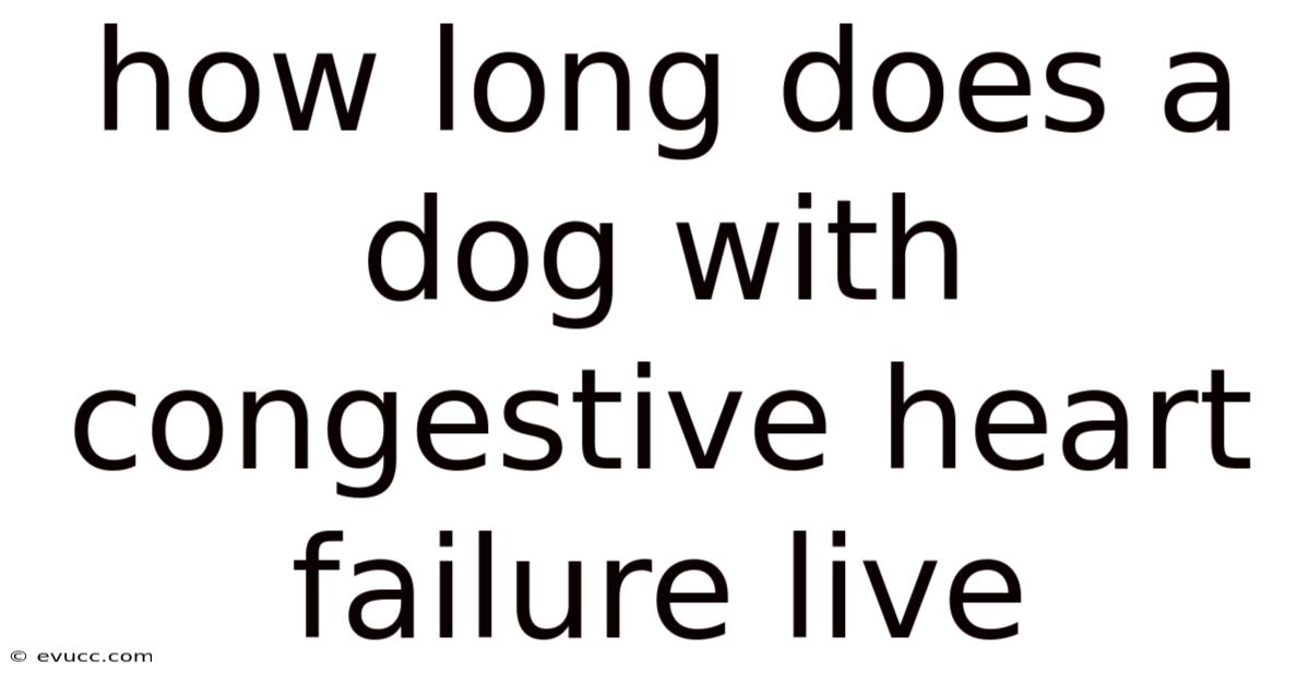 How Long Does A Dog With Congestive Heart Failure Live