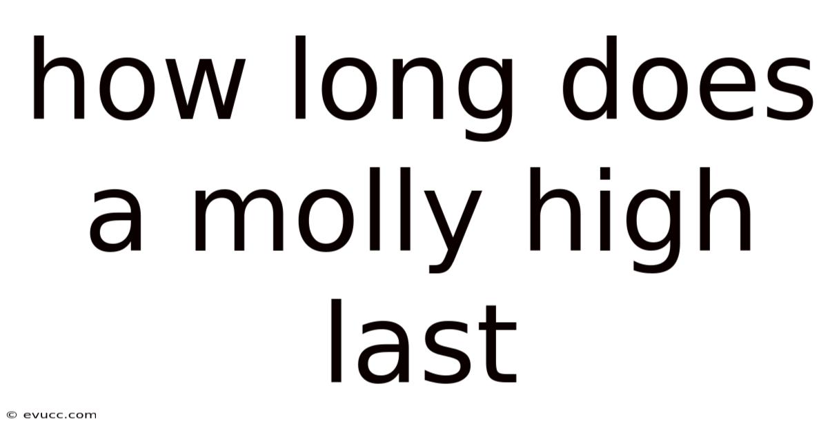 How Long Does A Molly High Last