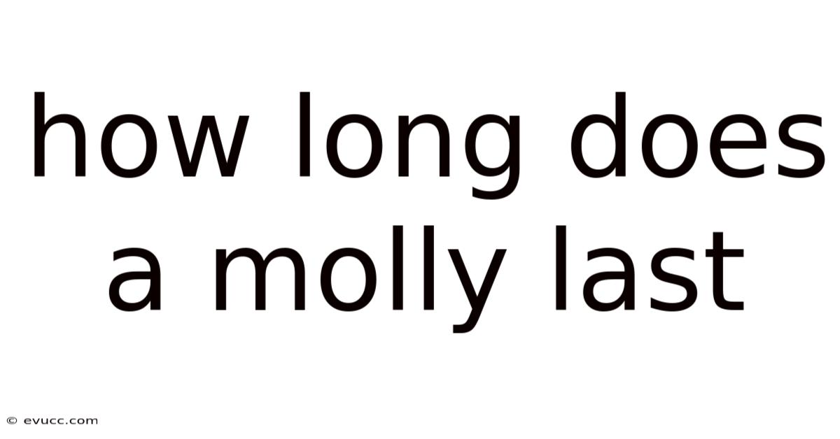 How Long Does A Molly Last