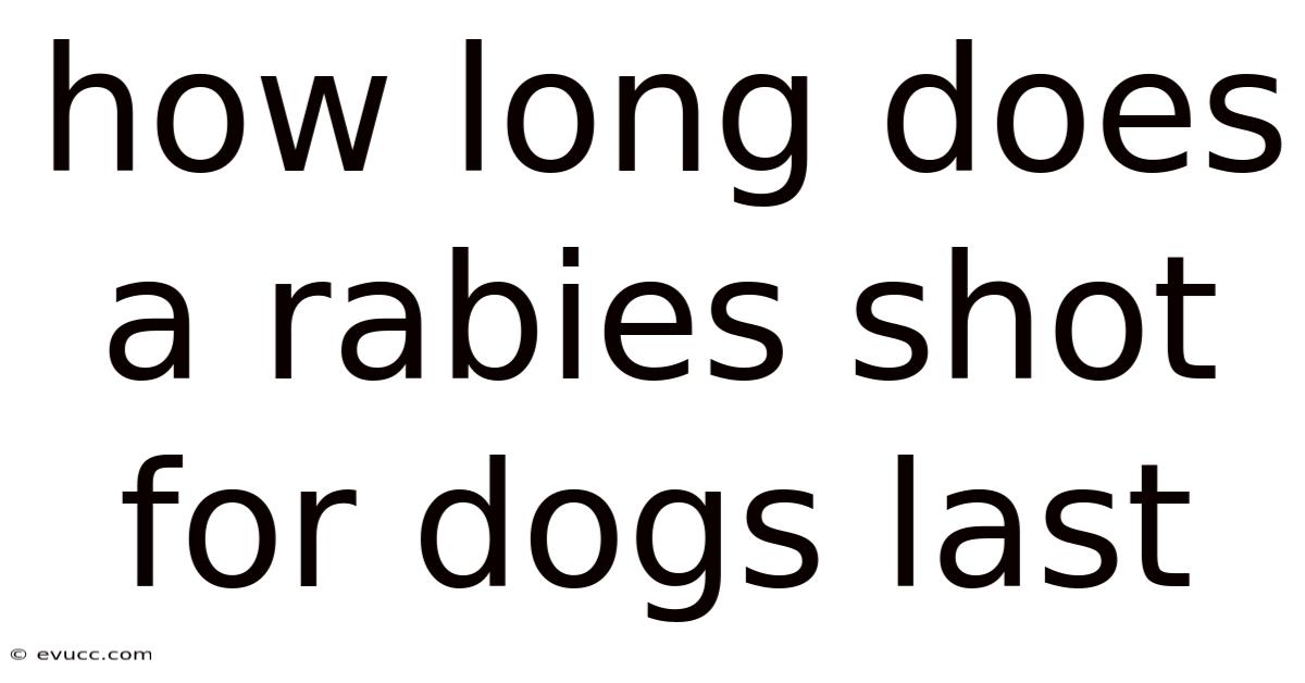 How Long Does A Rabies Shot For Dogs Last
