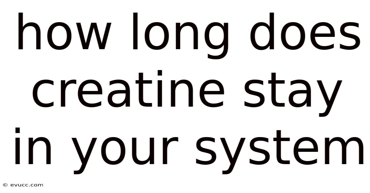 How Long Does Creatine Stay In Your System
