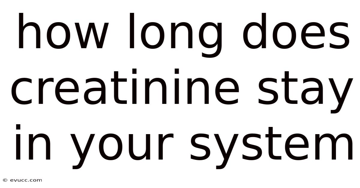 How Long Does Creatinine Stay In Your System