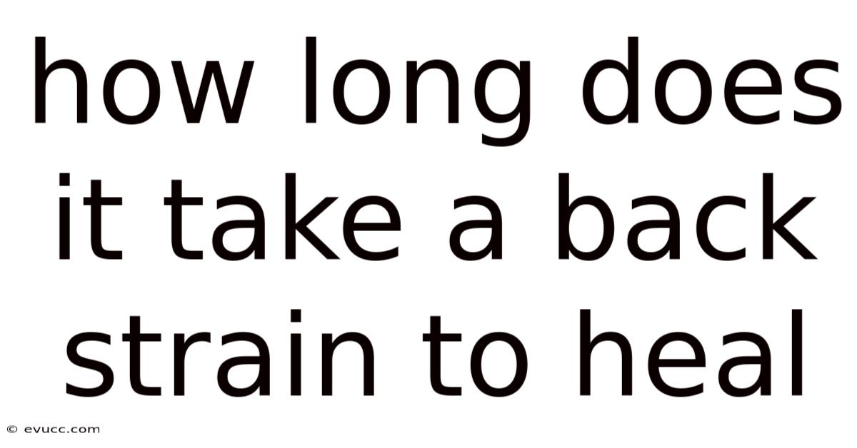 How Long Does It Take A Back Strain To Heal
