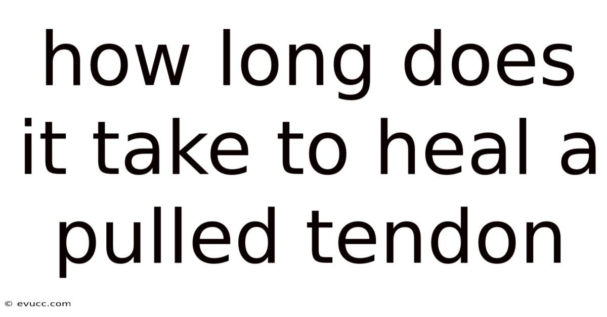 How Long Does It Take To Heal A Pulled Tendon
