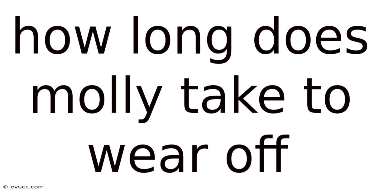 How Long Does Molly Take To Wear Off