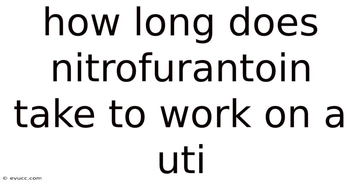 How Long Does Nitrofurantoin Take To Work On A Uti