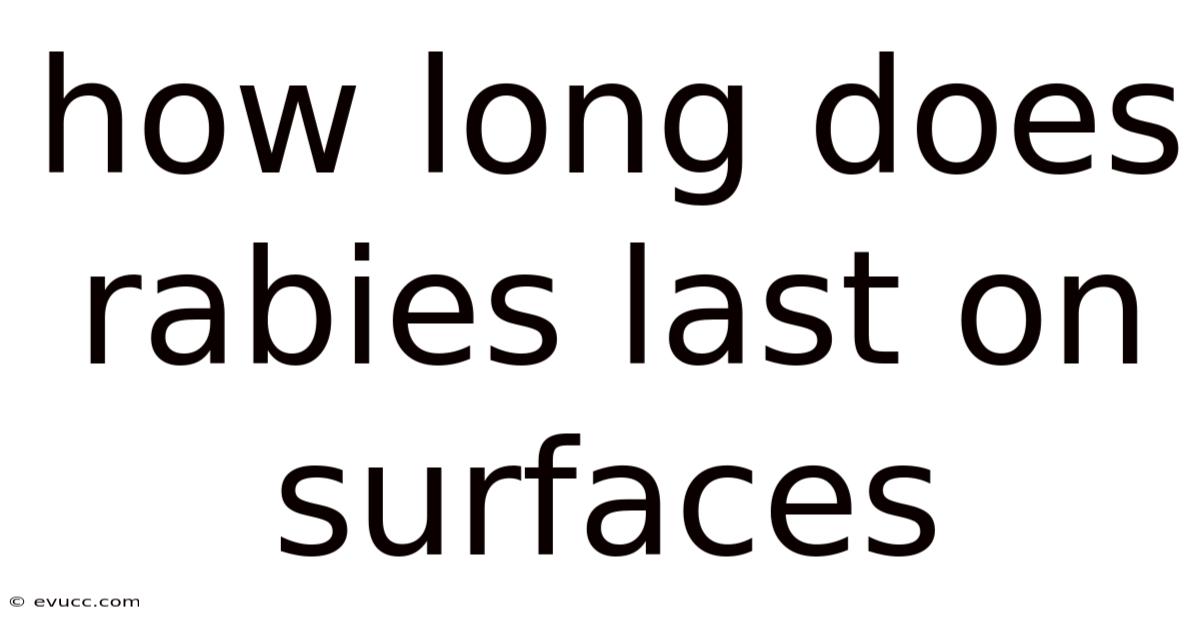 How Long Does Rabies Last On Surfaces