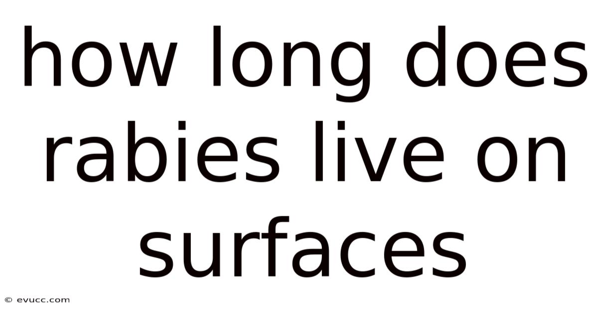 How Long Does Rabies Live On Surfaces