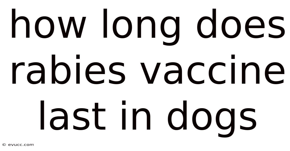 How Long Does Rabies Vaccine Last In Dogs