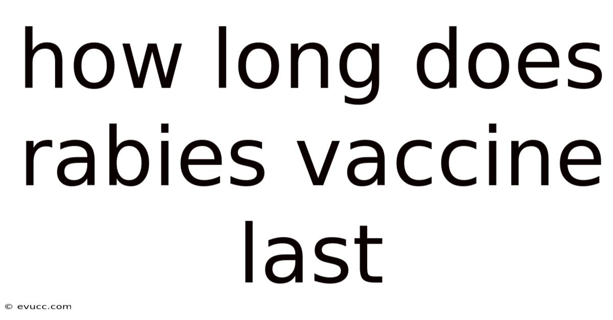 How Long Does Rabies Vaccine Last