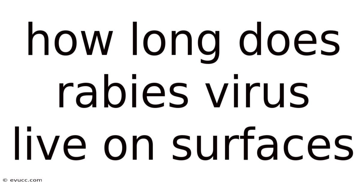 How Long Does Rabies Virus Live On Surfaces