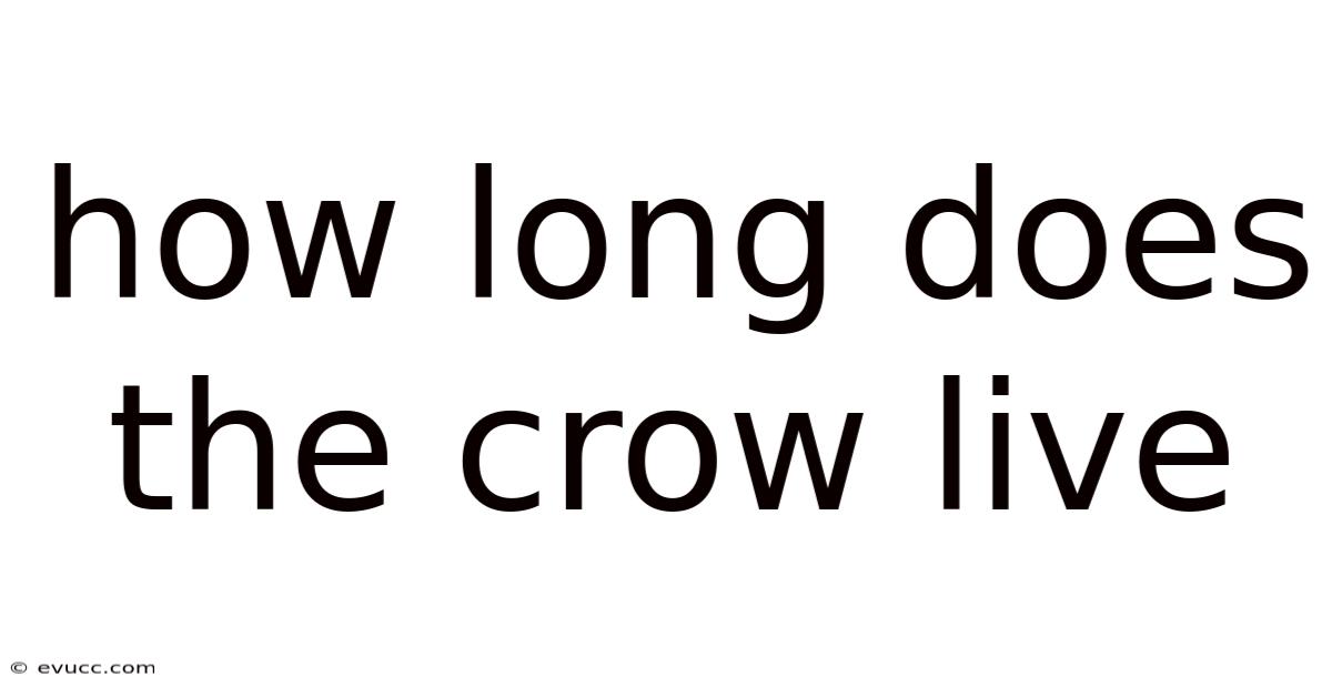 How Long Does The Crow Live