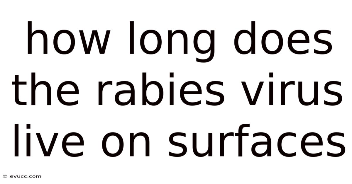 How Long Does The Rabies Virus Live On Surfaces