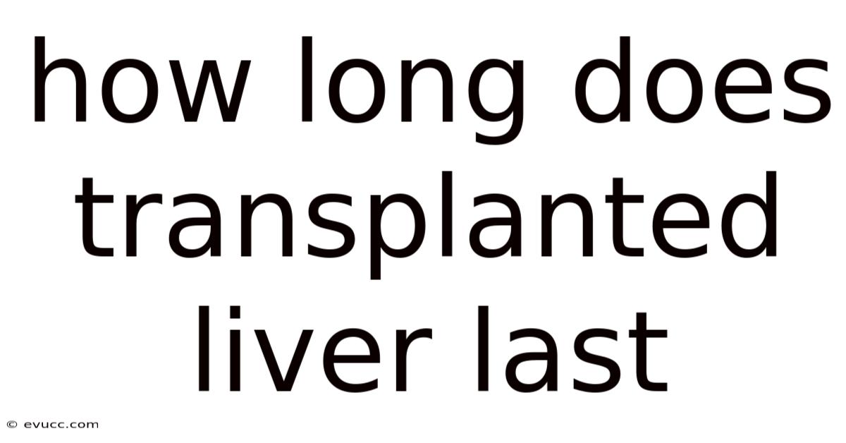 How Long Does Transplanted Liver Last