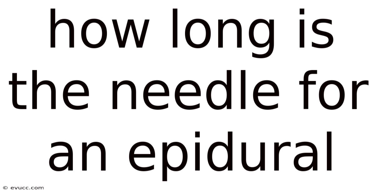 How Long Is The Needle For An Epidural