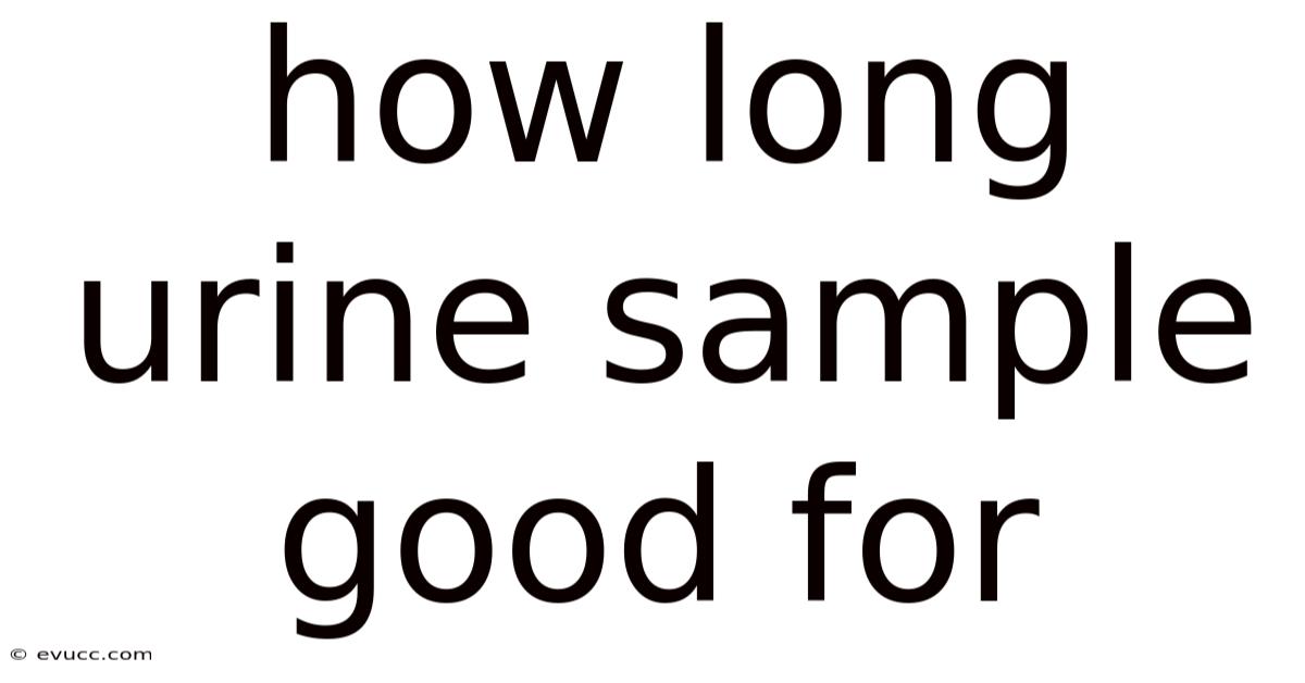 How Long Urine Sample Good For