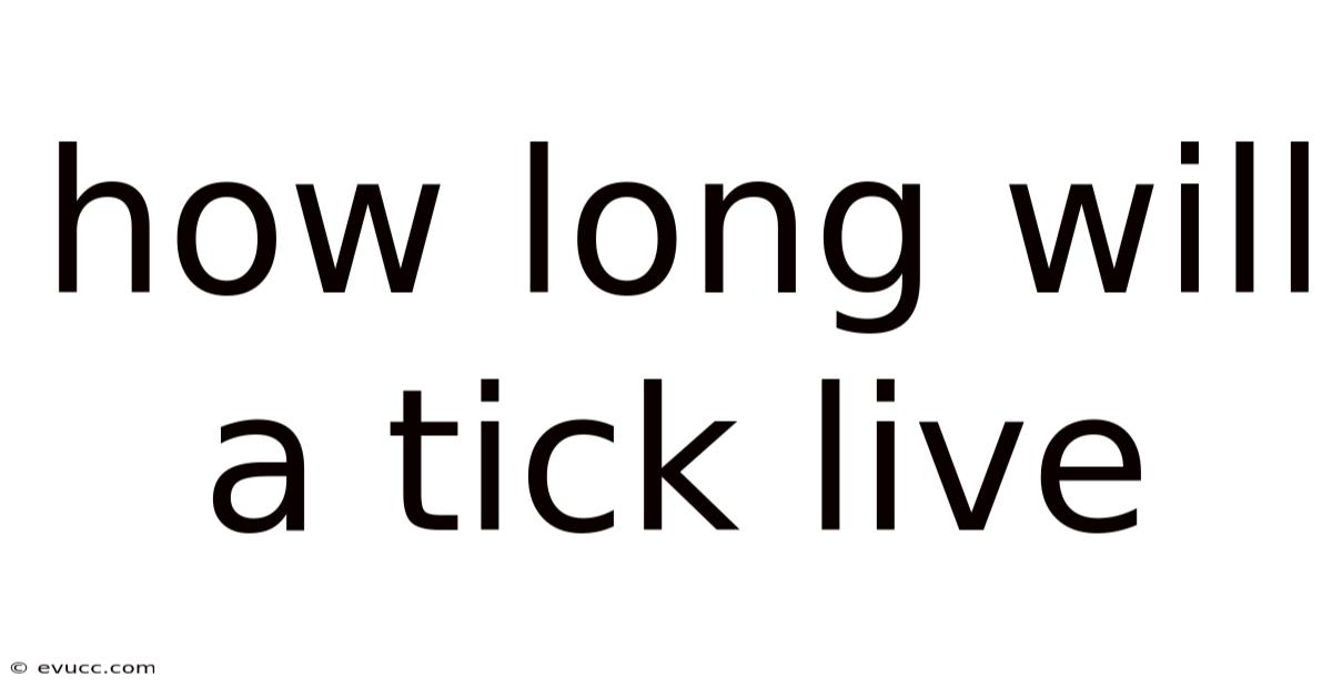 How Long Will A Tick Live