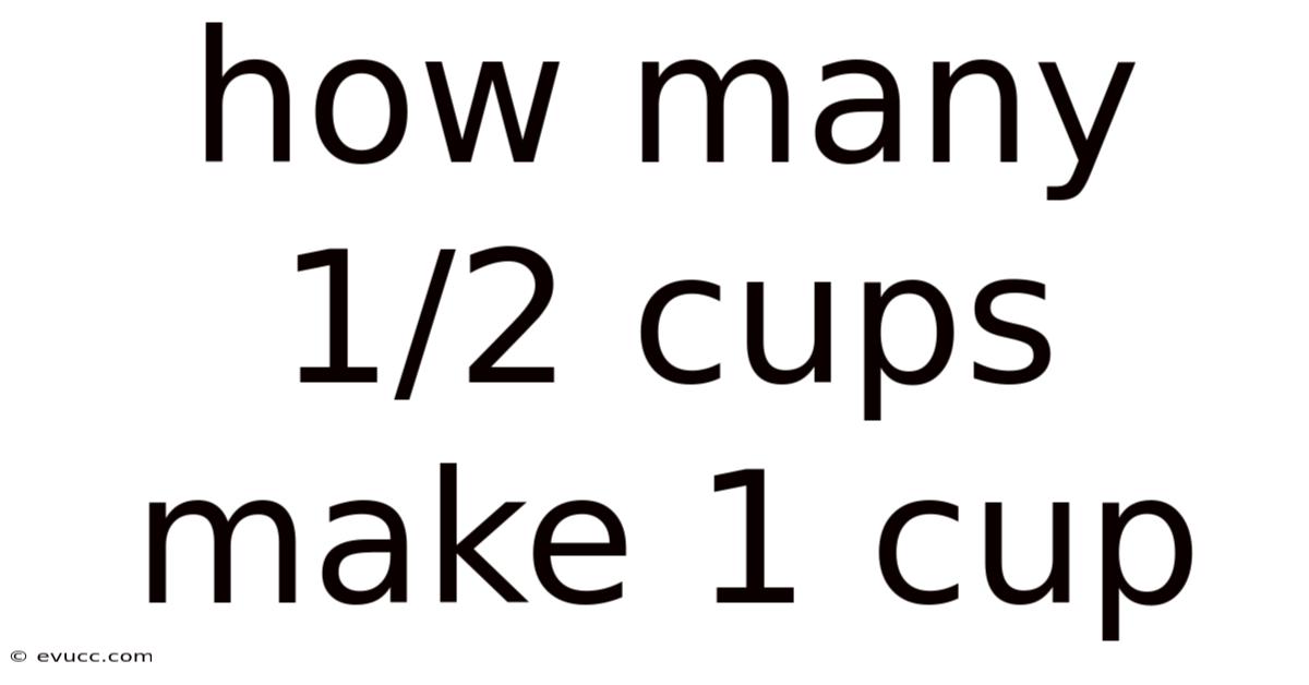 How Many 1/2 Cups Make 1 Cup
