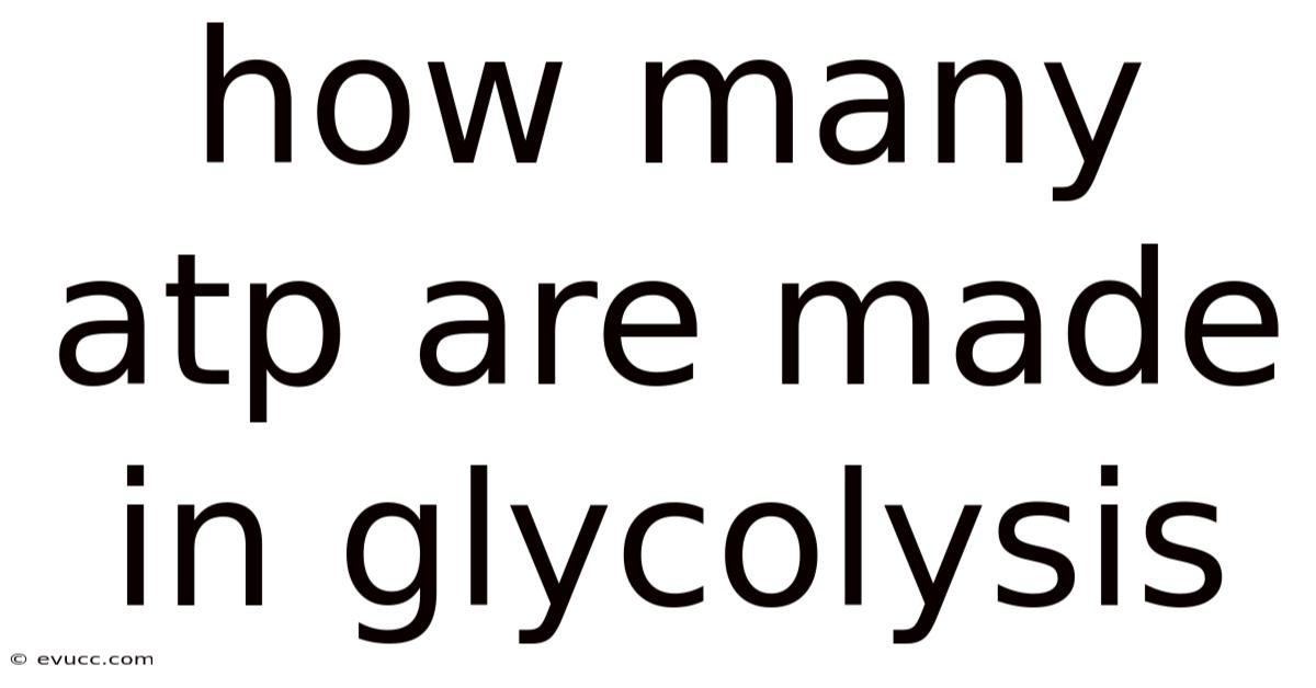 How Many Atp Are Made In Glycolysis