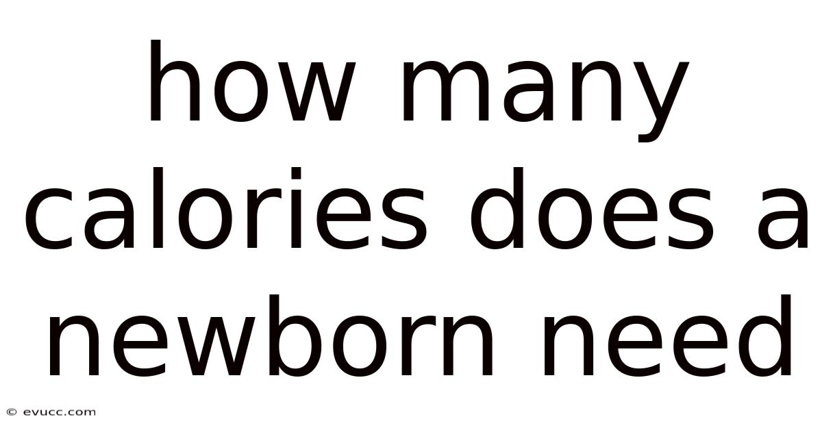 How Many Calories Does A Newborn Need