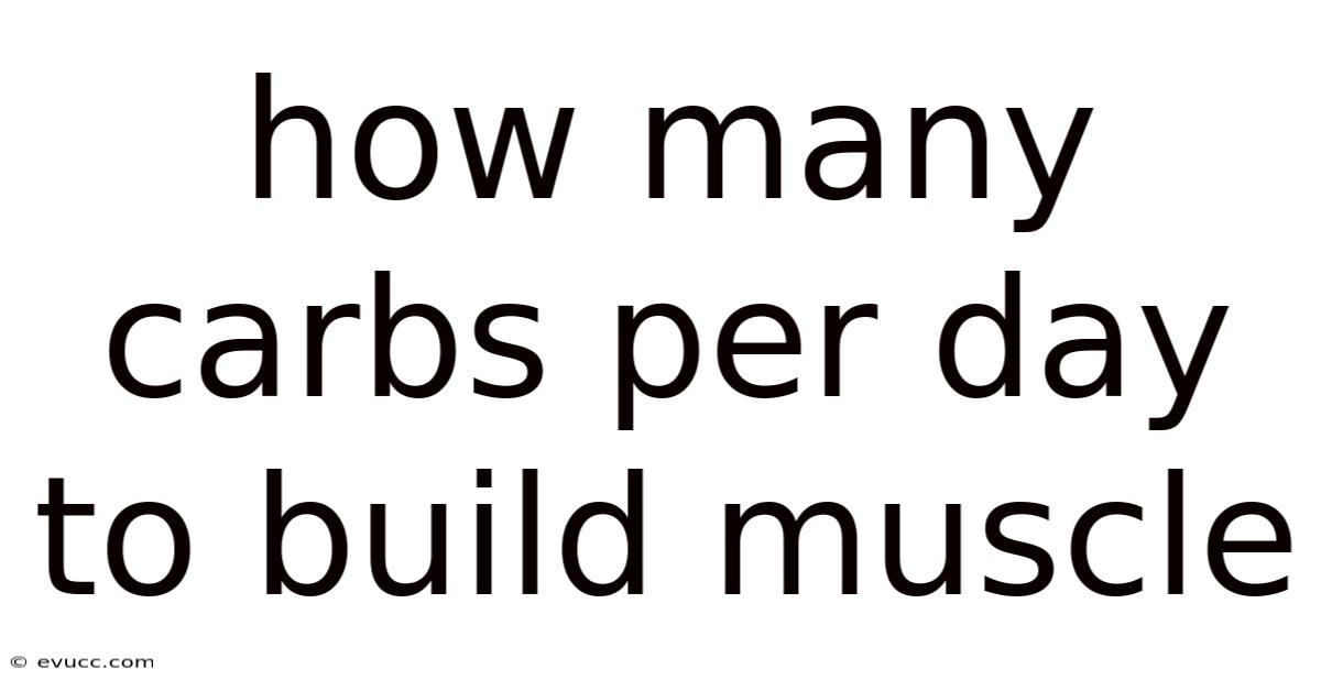 How Many Carbs Per Day To Build Muscle