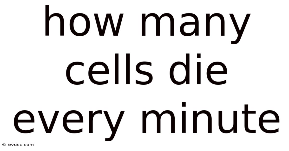 How Many Cells Die Every Minute