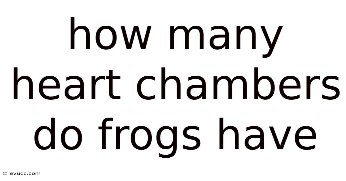 How Many Heart Chambers Do Frogs Have
