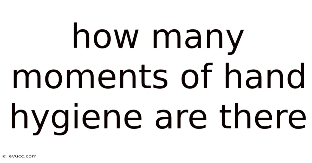 How Many Moments Of Hand Hygiene Are There