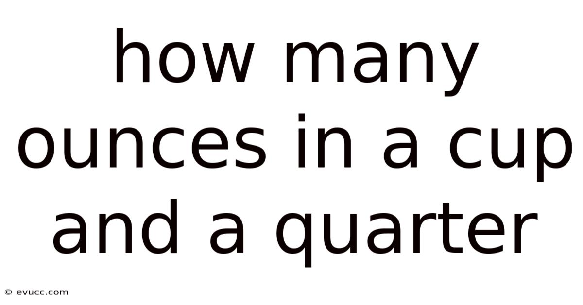 How Many Ounces In A Cup And A Quarter