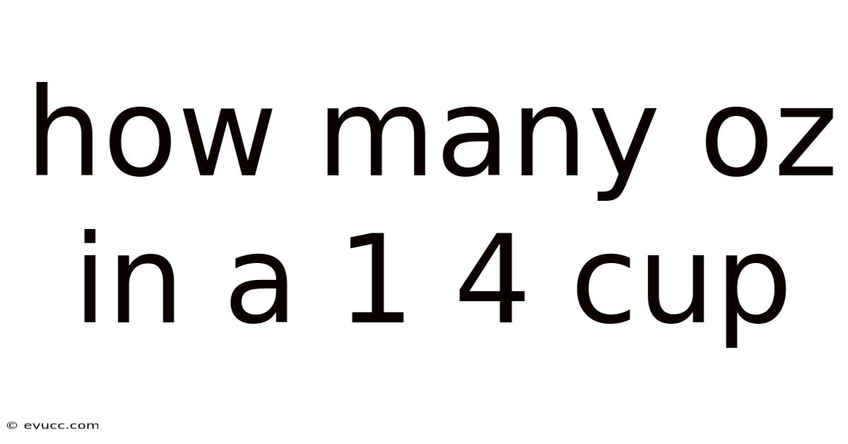 How Many Oz In A 1 4 Cup