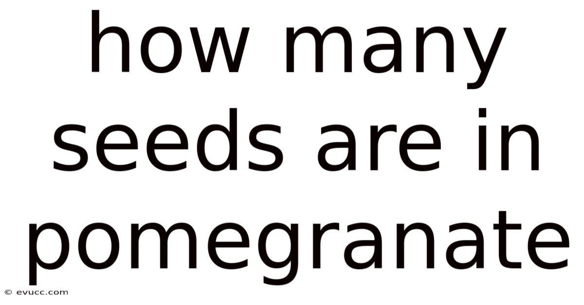 How Many Seeds Are In Pomegranate