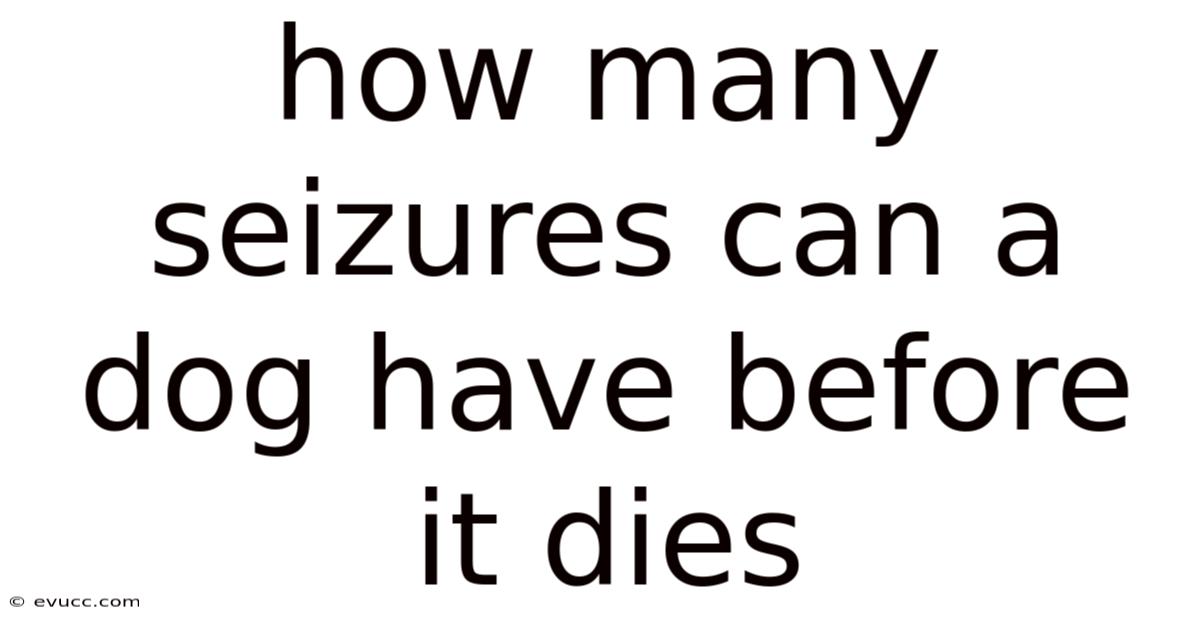 How Many Seizures Can A Dog Have Before It Dies
