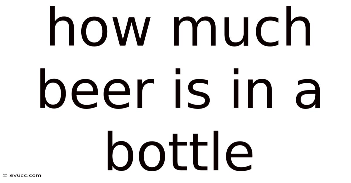 How Much Beer Is In A Bottle
