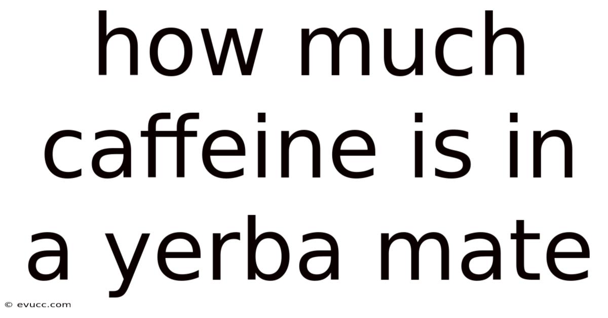 How Much Caffeine Is In A Yerba Mate