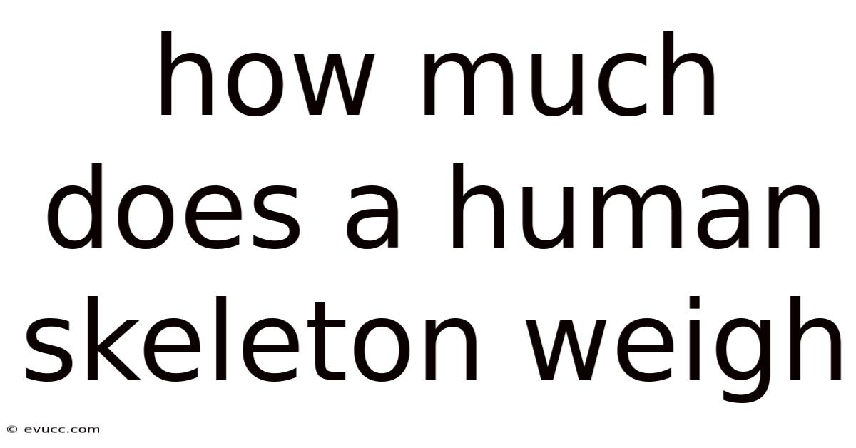 How Much Does A Human Skeleton Weigh