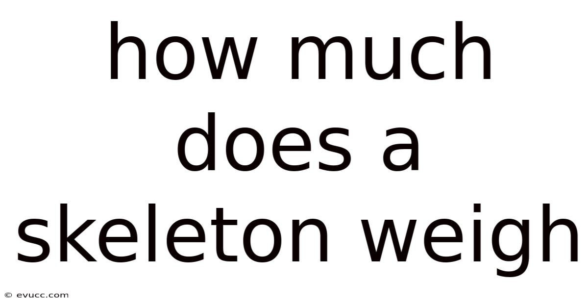 How Much Does A Skeleton Weigh