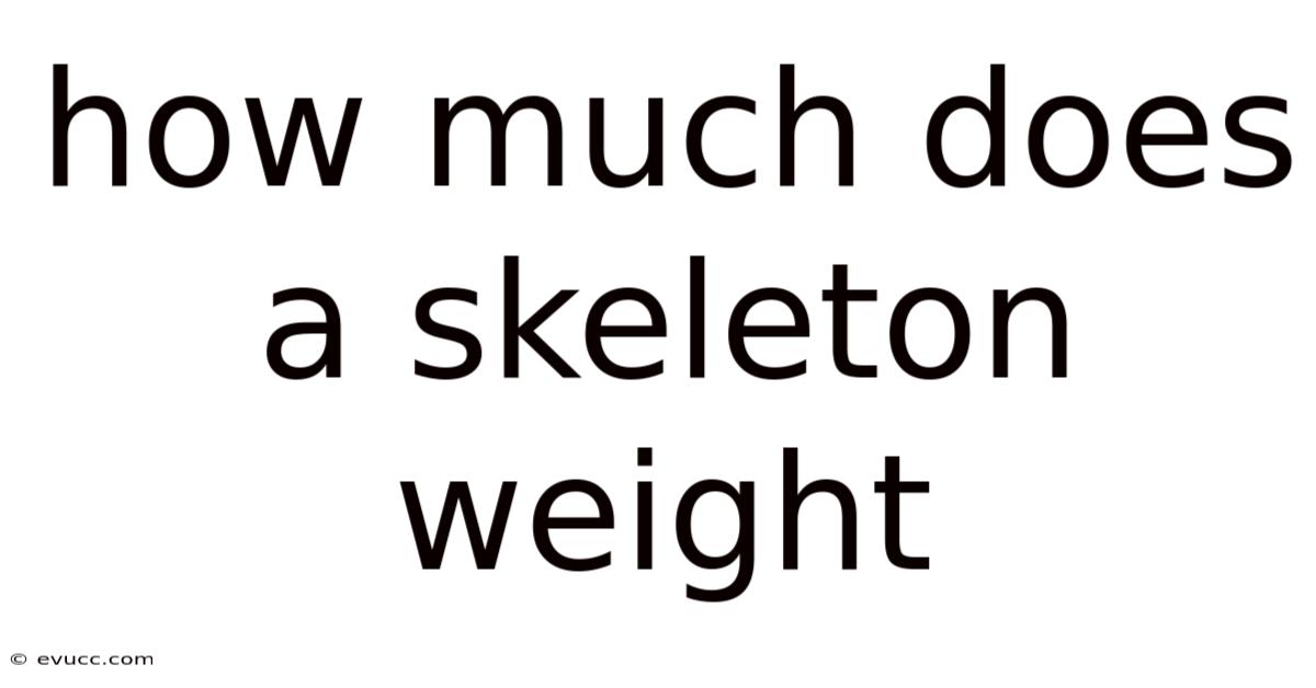 How Much Does A Skeleton Weight