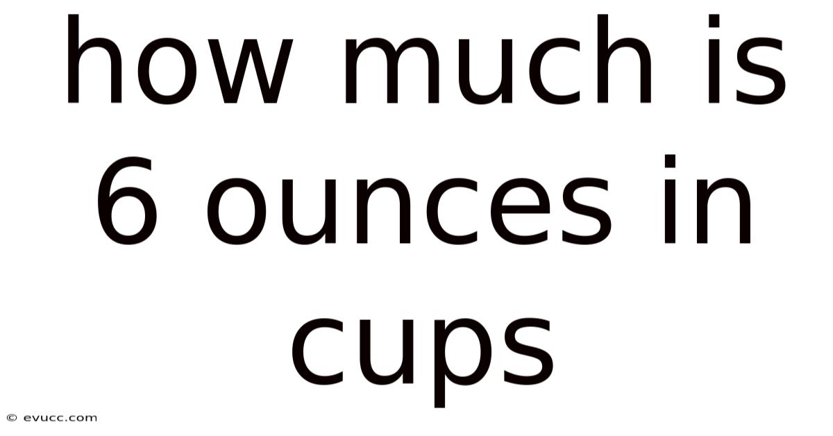 How Much Is 6 Ounces In Cups