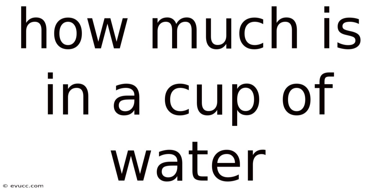 How Much Is In A Cup Of Water