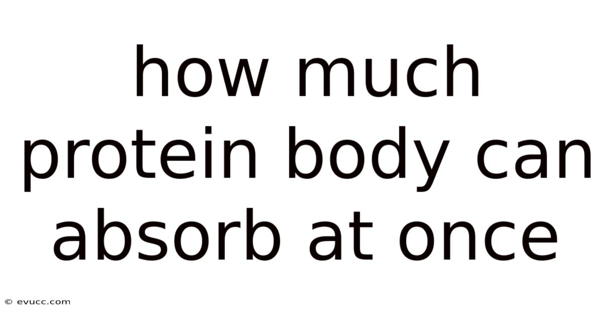 How Much Protein Body Can Absorb At Once