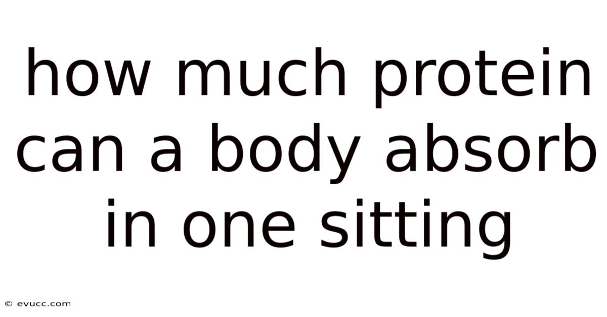 How Much Protein Can A Body Absorb In One Sitting