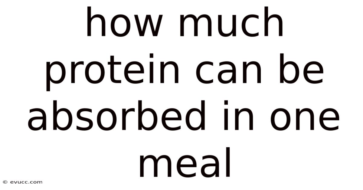How Much Protein Can Be Absorbed In One Meal