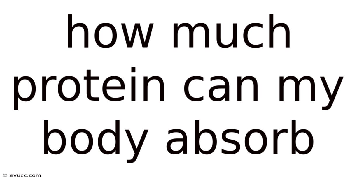 How Much Protein Can My Body Absorb