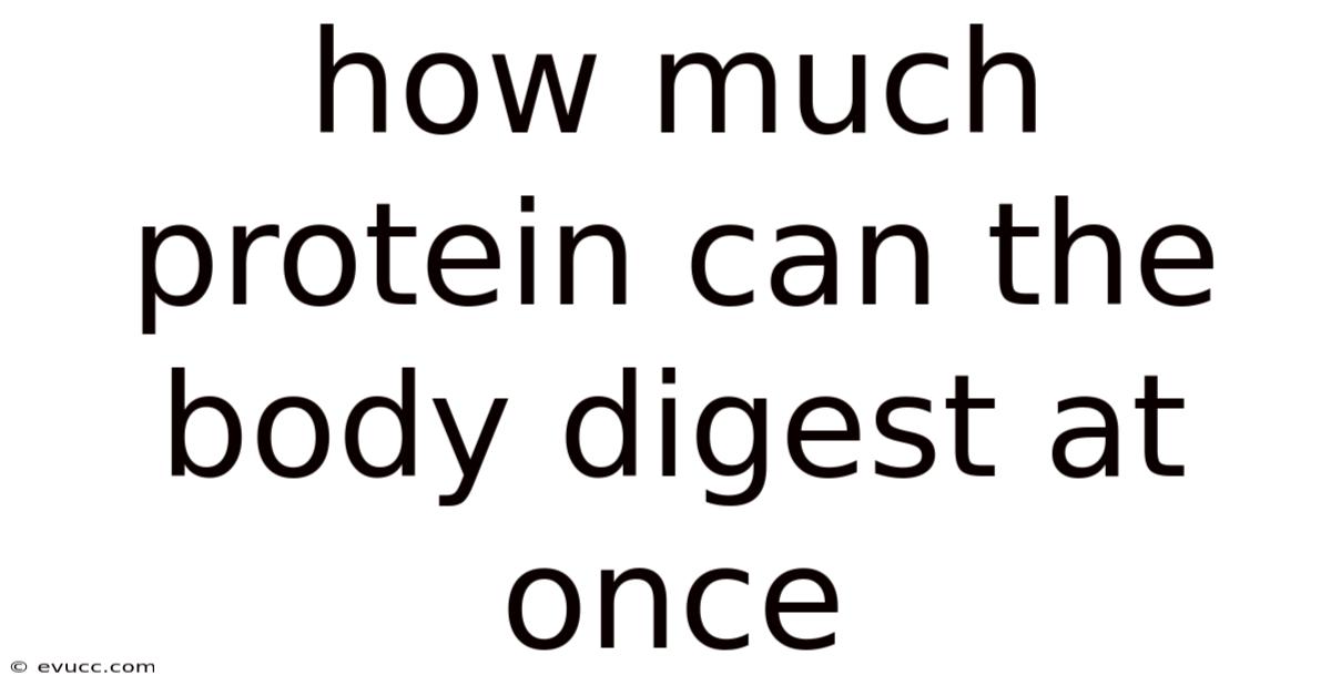 How Much Protein Can The Body Digest At Once