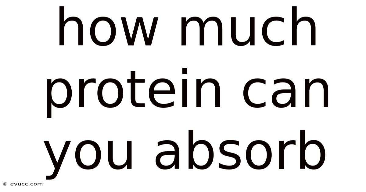 How Much Protein Can You Absorb